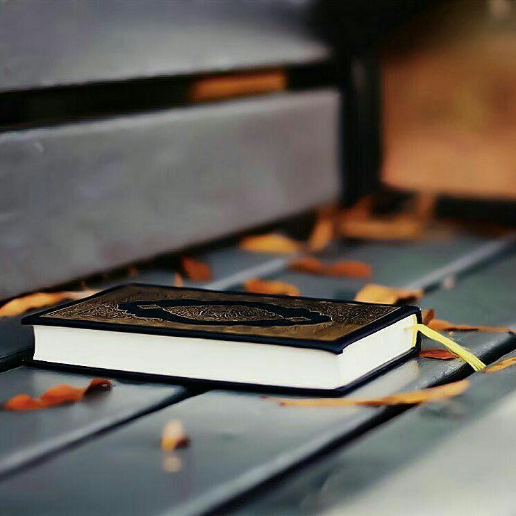abdu9llah__'s tweet photo. ثم اني يا الله، 
حاولت جاهدة ان لا اترك ندبة في قلب احد
فاغفر لي ان فعلت🙏🏻💜

#nnoo https://t.co/DoTu7kso6j