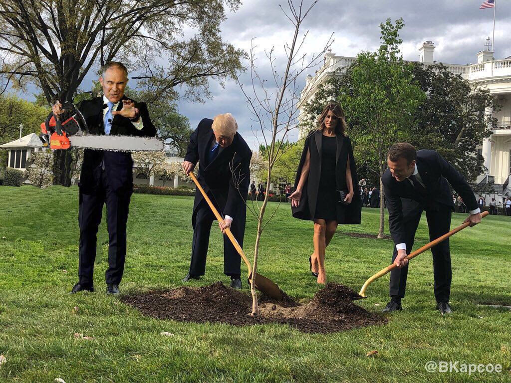 BKapcoe's tweet photo. Hey Scott Pruitt, what REALLY happened to the missing Macron tree??
#StupidQuestionsForTheEPA https://t.co/qGTsgyyeYg
