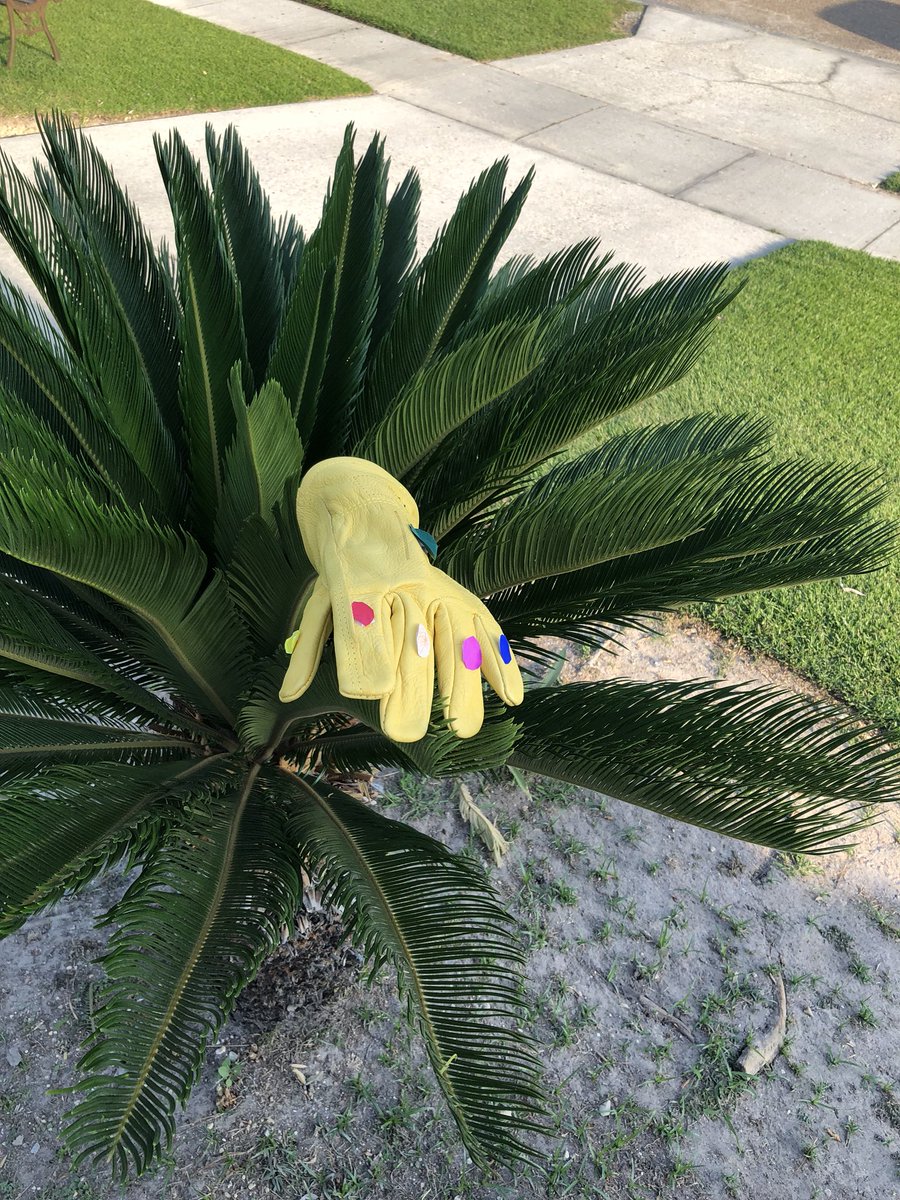 taylorvisc's tweet photo. my brother made thanos’ infinity gauntlet and put it on a plant and called him “planthos” https://t.co/3a1Vu59an4