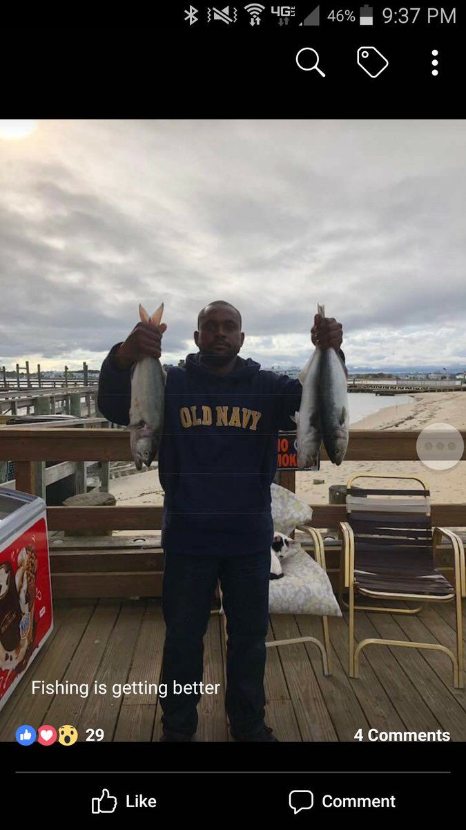 OceanicPier's tweet photo. Some big; Some smaller. https://t.co/RH5wNSPGEl