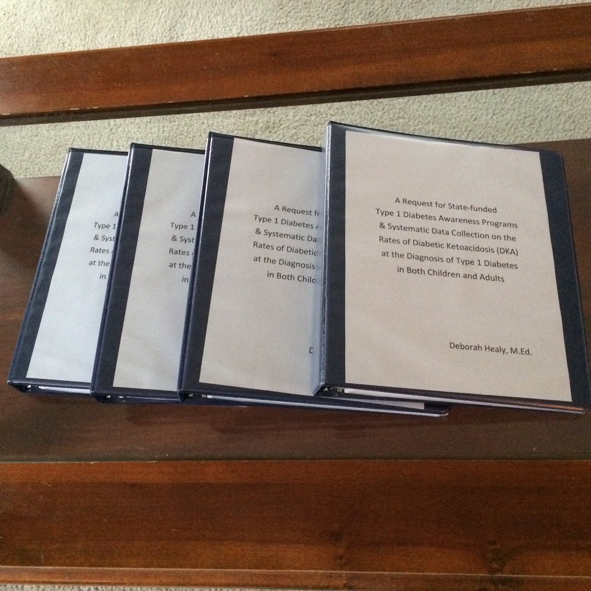 DeborahHealy_'s tweet photo. Getting ready to advocate! It is time to make change happen. https://t.co/w5QVBBzNNp