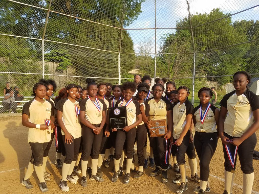MSCIAAfever's tweet photo. The 2018 SCIAA AAA Softball Champions:  Whitehaven Tigers!! @WhitehavenSoftb @SCSK12Unified https://t.co/7dCmH5ejqJ