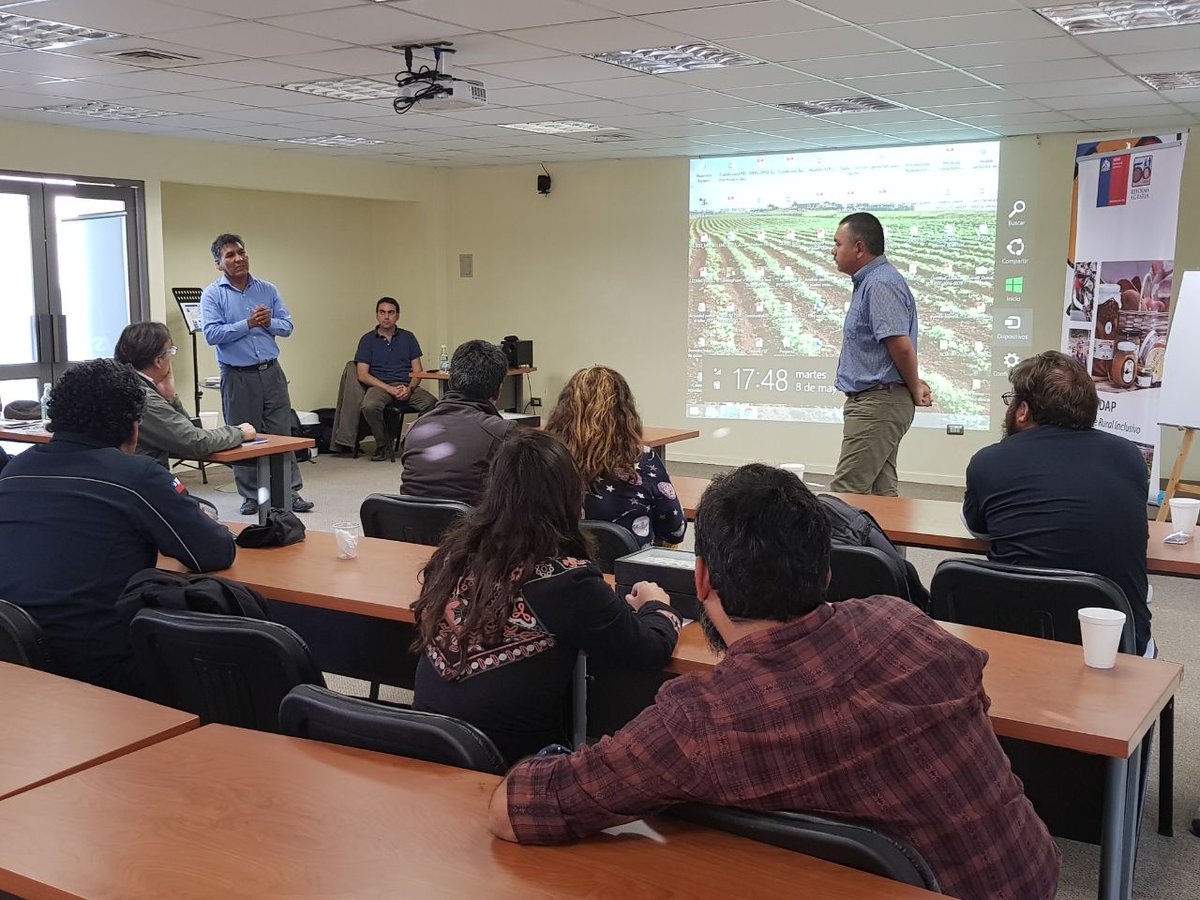QuinoaLab's tweet photo. Felices de compartir una excelente jornada de actualización del estado del arte de la quinoa en el pais junto  @INDAP_Chile y @MinagriCL en #Iquique, preparando la antesala del Congreso Mundial de la #Quinoa en #Chile #Tarapaca 2019 https://t.co/79tSSdJwPs