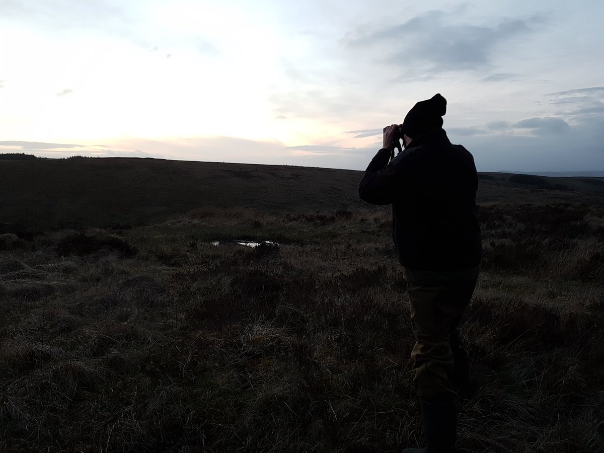 eagle_trust's tweet photo. Privileged for our team to get to spend time outdoors surveying #birds at dusk and dawn at this time of year for @theCANNproject #tired #butrewarding #notmuchsleep #ornithology 😴 https://t.co/xcEvIqPERR