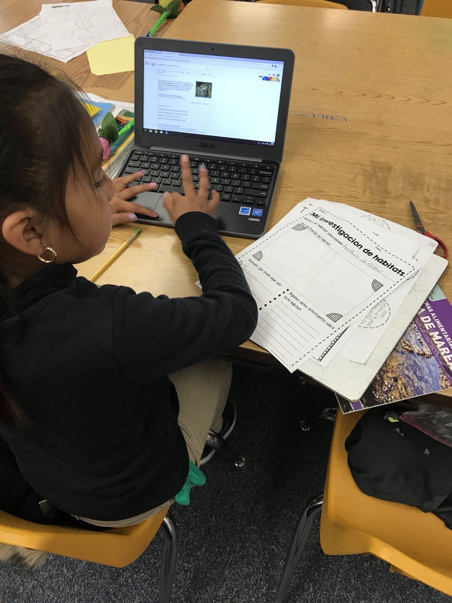 Students research biomes in their expert groups 🌎