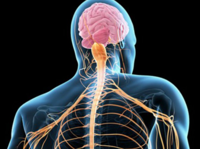 online The Fullness of the Logos in the Key of Life Book I: The Case of God in the New Enlightenment