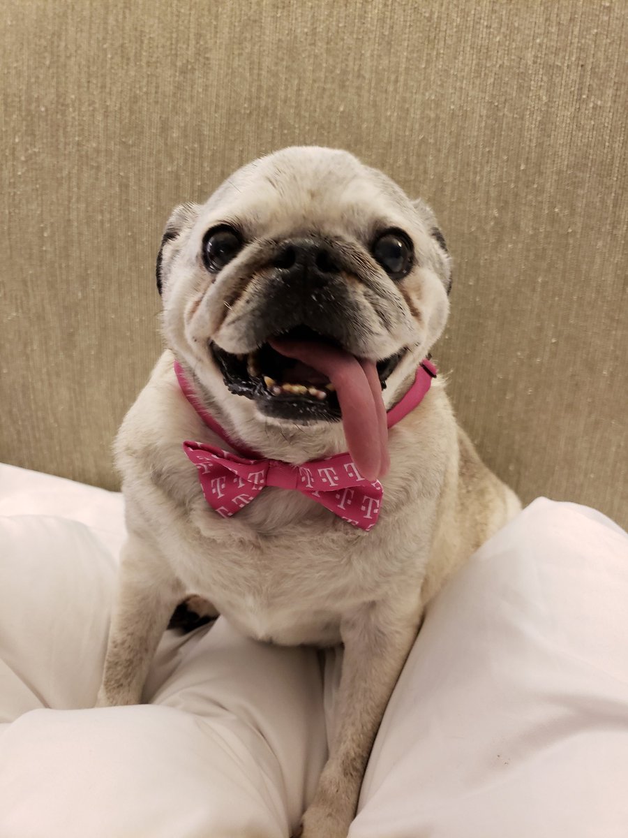 Jake Urso tweet media