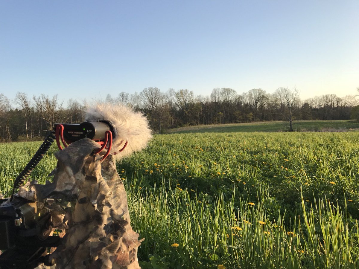 WWoodsmen's tweet photo. Phil is out for a night hunt/scout.  Tom we saw this morning has been spotted with two hens, fingers crossed for the morning! #turkeyscouting #nighthunt https://t.co/Qv0oTOm3Ci
