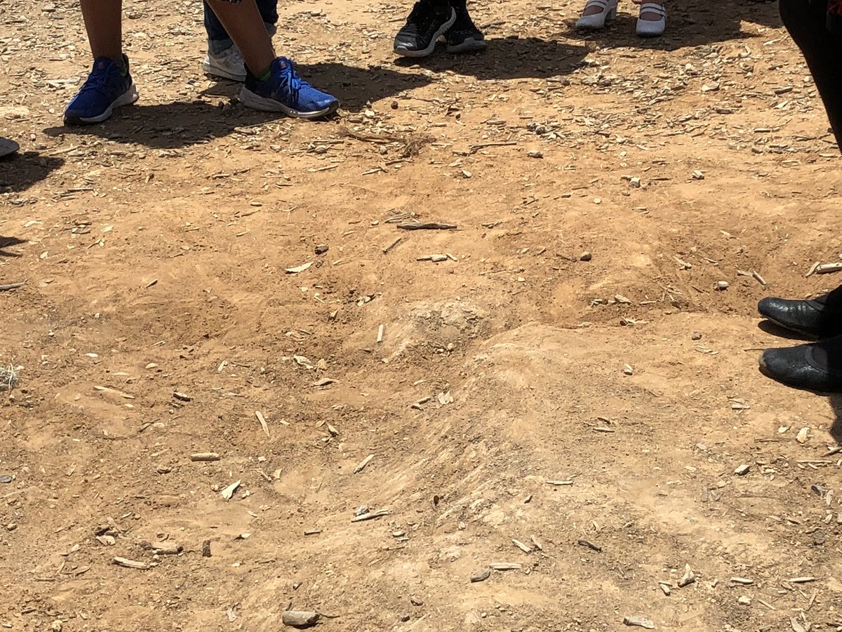 Ash_Pena's tweet photo. Loved this #erosionhunt that @DeniseTreadway1 planned for her #3rdgradescientists @NISDFernandez !! #inquiry #data #recordobservations @NISDElemScience #ElemSciInspired https://t.co/IRFfB0Ehgg