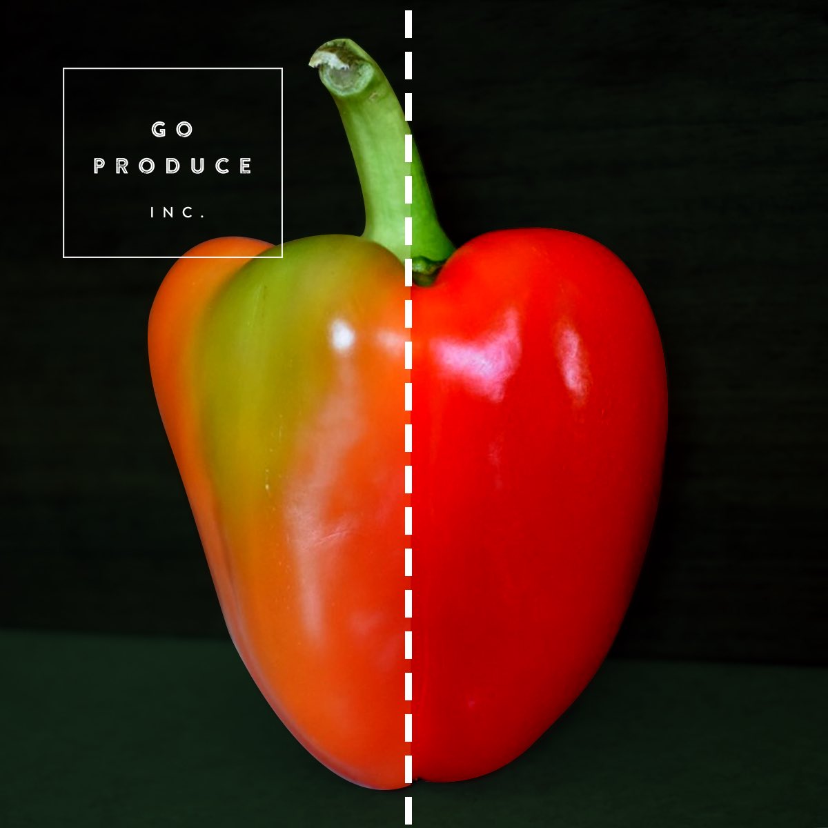 GoProduceInc's tweet photo. Discoloured, misshaped and extremely delicious. This bell pepper is Fabulously Flawed. #grocerydelivery #onlyinagobag #fabulouslyflawed https://t.co/BZtK6sh9lK