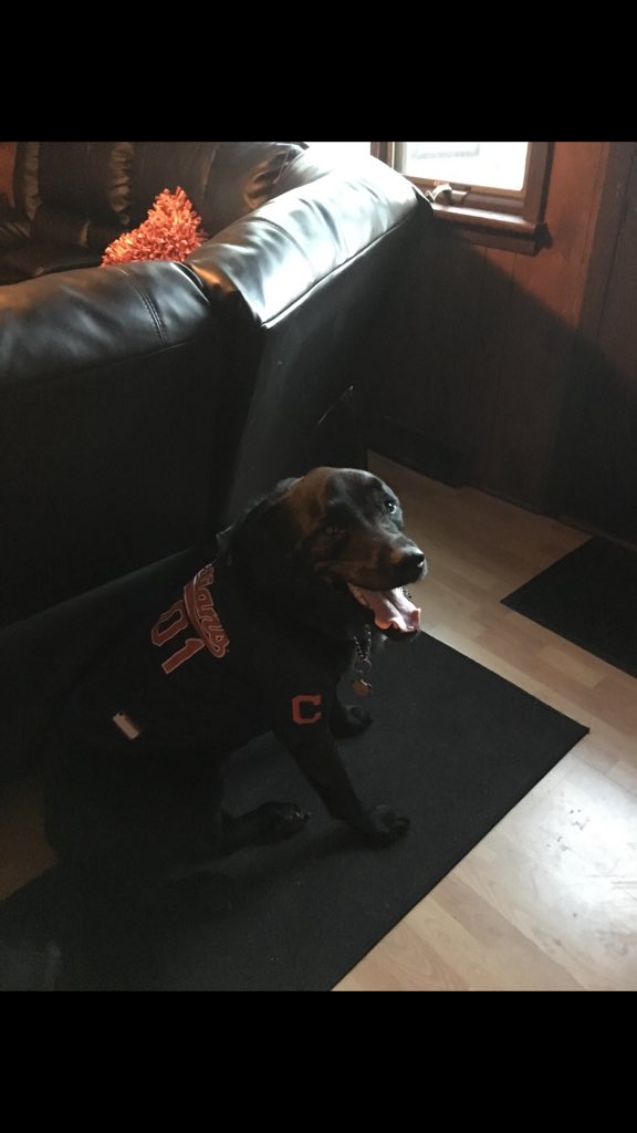 acoreno23's tweet photo. To the greatest friend I’ve ever had,

You weren’t just a dog, you were my bestfriend. I’ll miss you everyday that you’re gone. 

I love you big guy... Until next time 🙏🏻 https://t.co/rSj7pWQfVm