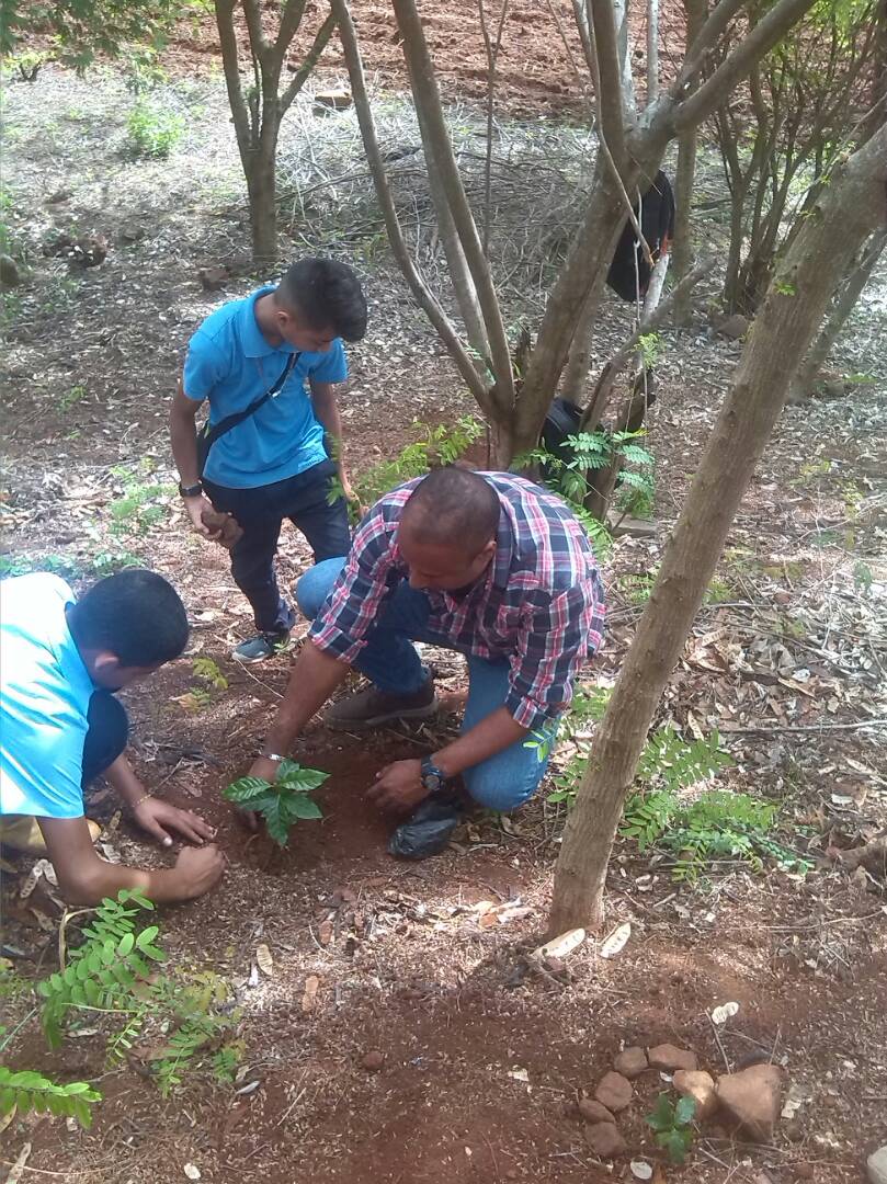 📣Seguimos avanzando y viene más en el desarrollo de nuestro programa bandera PTMS🌱 desde la ETA García Mohedano #Piar #Bolivar ¡Sumamos Esfuerzos! #VotoDialogoYPaz @MPPEDUCACION <a href="/JauaMiranda/">Elías Jaua</a> <a href="/PTMSNACIONAL/">Programa Todas las Manos a la Siembra</a> <a href="/RosangelaOrozco/">Rosangela Orozco</a> @SaIaBolivar