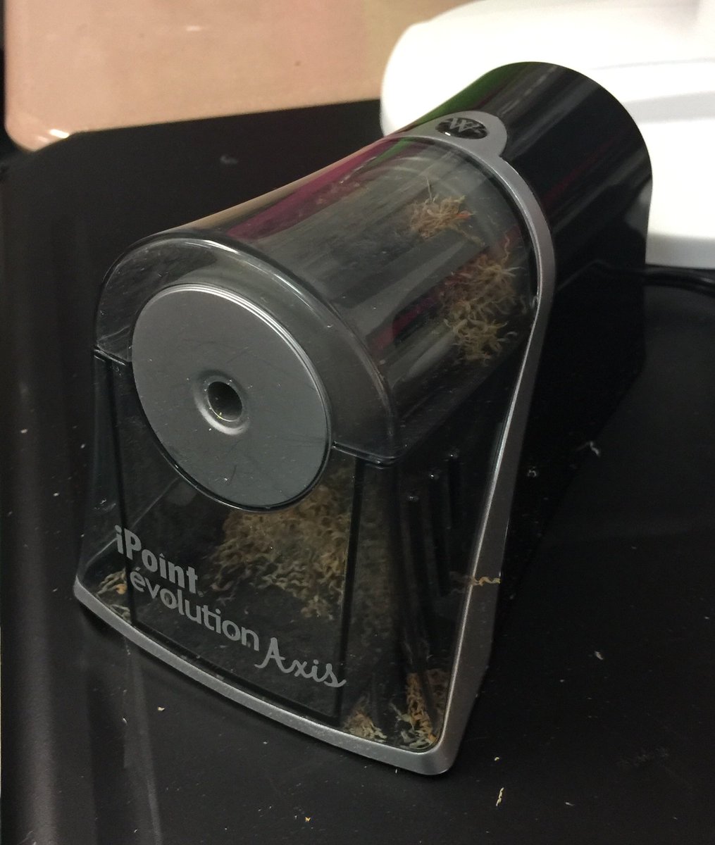 Catherine Besel tweet media