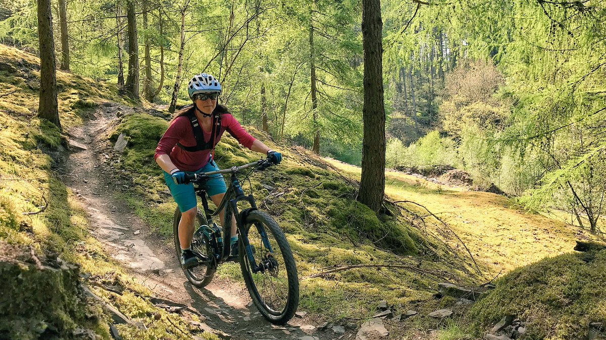 mtbcymru's tweet photo. Nothing beats that summer alpine feeling when your out riding dusty trails #justride #mtb #cycling #adventure #ridemadison #mountainbike #SummerIsHere https://t.co/w0YYFzrD0W