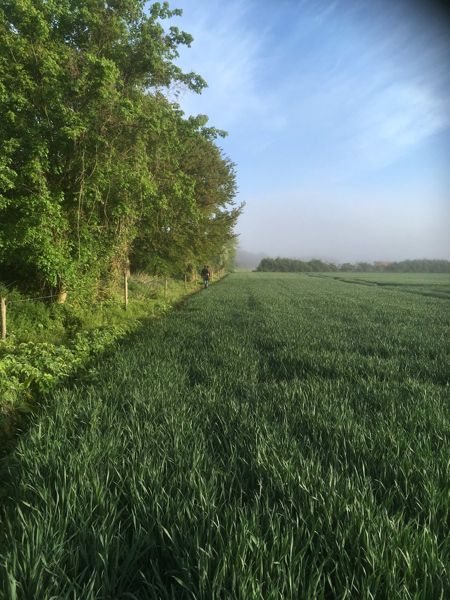 Beautiful morning for checking the traps with <a href="/Sparsholt_Coll/">Sparsholt College</a> game students.