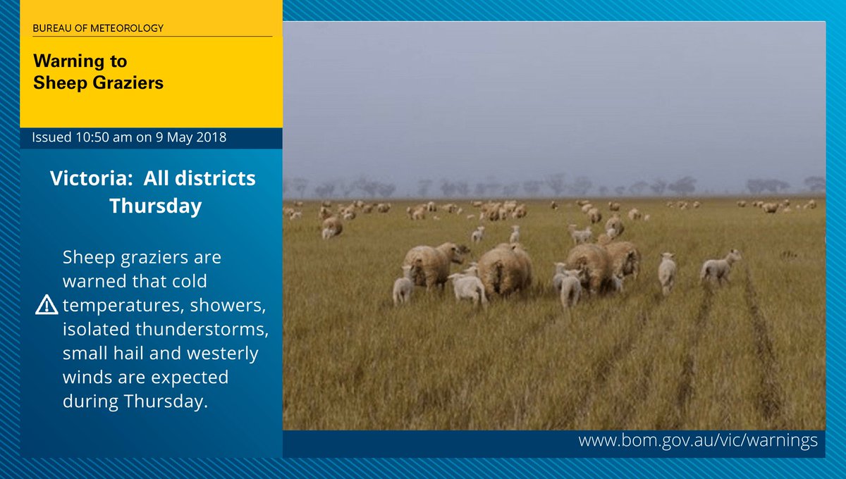 Bureau Of Meteorology Victoria On Twitter Warning To Sheep Graziers Tomorrow S Coldsnap May Result In Conditions Hazardous To Livestock Including Cold Temperatures Showers Fresh Westerly Winds And Possible Hail And Thunder Hazardous