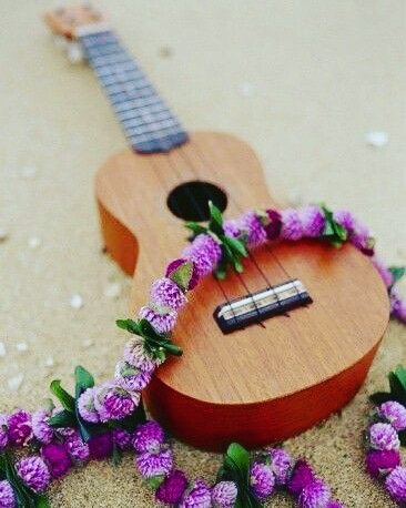 Ookoolehleh's tweet photo. The #ukulele on #thebeach is the best mix!
#ukuleleart #ukelove #ukeleles #ukes #jumpingflea #ukulelebeginner  #beachlife #ukulelepainting #ukulelefun #ukuleleplayer #ukulelelovers
#mindfulness #enlightenment #mindful #beachvibes #ukulelebeach #aloha #ukulelehawaii #beachlover https://t.co/JqJjvuPrAy