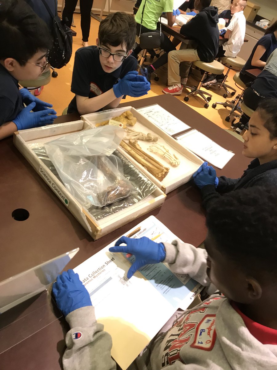 STEM_at_LMS's tweet photo. Lindale 7th graders venture to DC to discover the science behind forensics! #AACPSAwesome https://t.co/gWfAcR0zi8