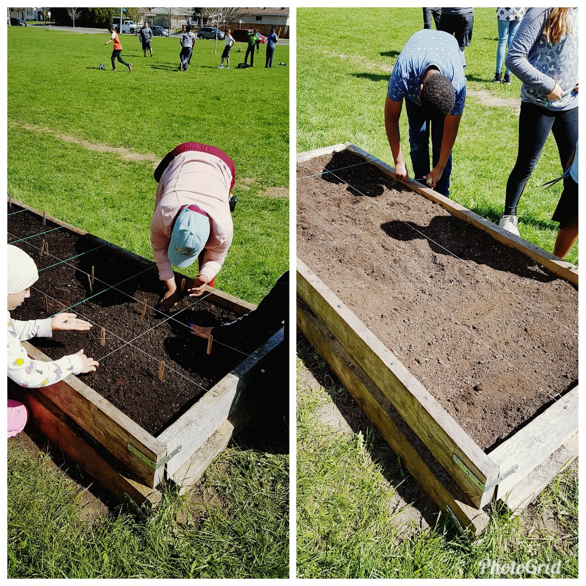RelfLeigh's tweet photo. Prepping, organizing, measuring and planting- our garden is done! Now we play the waiting game... #GrowYourOwn #OrganicGardening #SustainableFood #getoutside #grubbyhands #happykids
@FeatherstonPS https://t.co/kLjp0fMjOw
