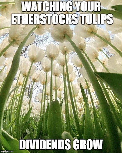 EtherStocks's tweet photo. The #Community has picked TULIPS Stock as the #BuyoftheDay @ https://t.co/OW8w613AZD  .Now is the time to #Buy TULIPS #Stock and watch those dividends come in. Join our Discord for more https://t.co/pjOs0h0tdG   #ETH #BTC #cryptogame #Tulips @DappRadar #BOTD #StockAlert #bitcoin https://t.co/sixrzZAMRv