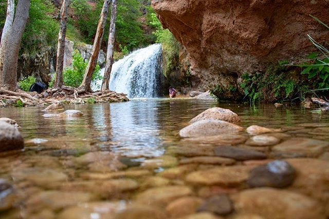 AdventureGlass's tweet photo. Oh. Paradise lost in the #Arizona desert. #hiking #hikingadventures #paradise #heavenly #hike #waterfall #oasis #azgram #azgrammers #hikeaz #azhiking #azhikes #forsale #looksgoosonmetal #youwantthis https://t.co/bsJnKzhE3c https://t.co/6MjxhaG0Gj