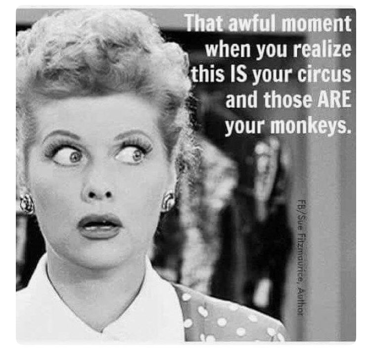 KayMilliken's tweet image. #vcschamps 👌🏼