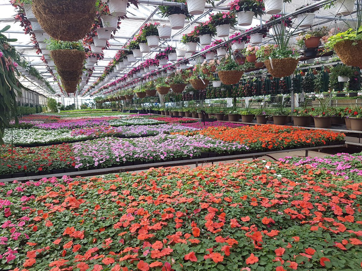 #mothersday shopping. Bring Mom and have fun together! #Gardenjoy #gardenideas #notl