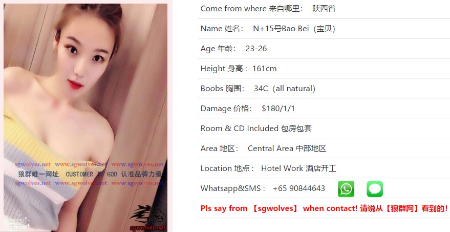 sgwolves2018's tweet photo. The new girl https://t.co/EiI0Eh3C82    More photos and services please click on the website#singapore #sgmassage #singaporeescorts https://t.co/GfVPTqjC5n