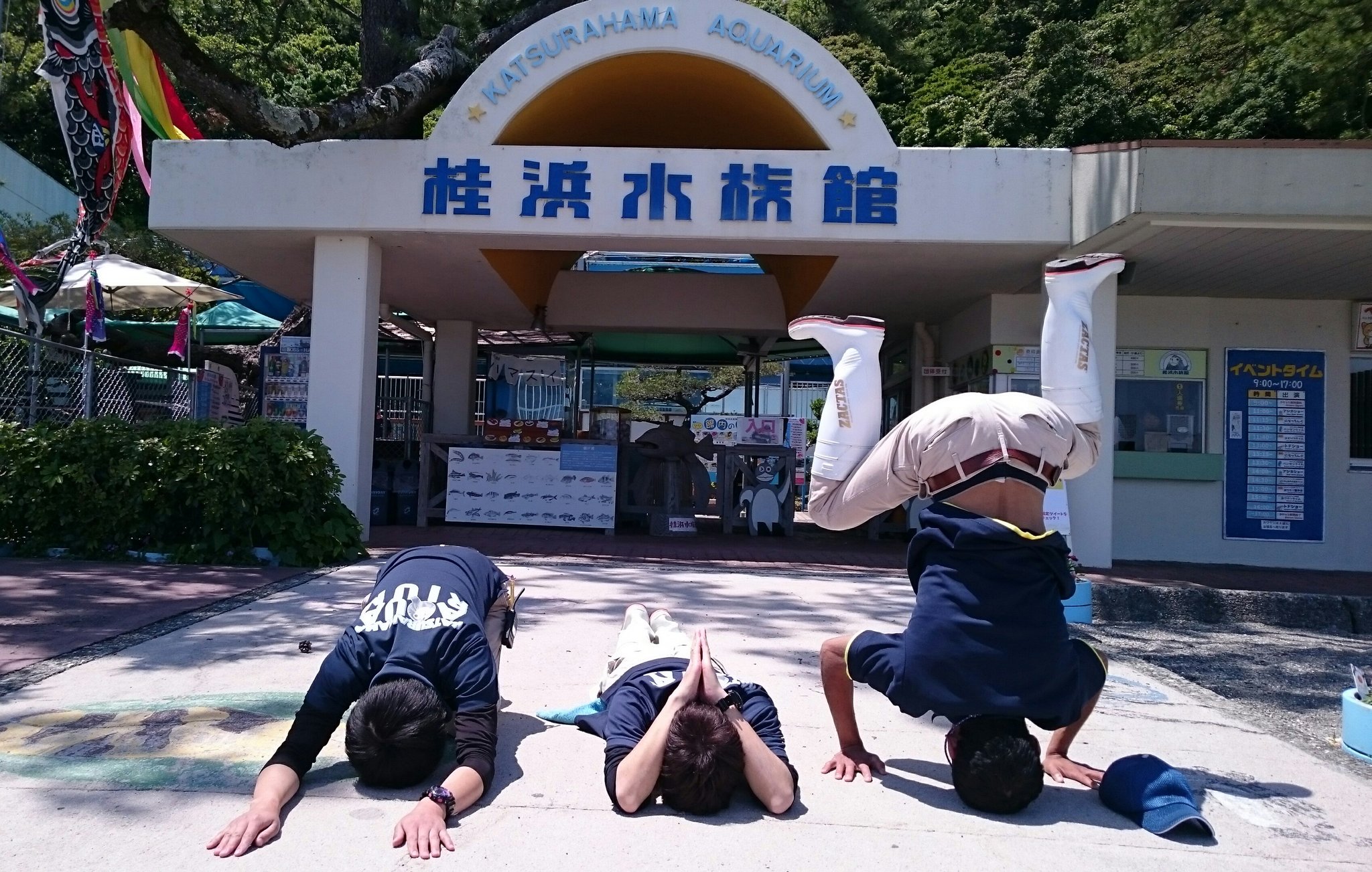 桂浜水族館 公式 お願いします 遊びに来て下さい お客さんがいなさすぎてこのままでは給料がでません うち 歩合制なんです 桂浜水族館 桂浜 ハマスイ 海獣班 渾身の土下座 T Co 2mbl3pyji7 Twitter