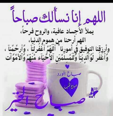 haaya1312's tweet photo. @hno55r_aa7 @sh00sh00100 @mahmad3652 @hasanooyda @SafaFriehat @hafsa45656 @algnnh87 @tala29109794 @Mh200922 @saeedaalmanee  https://t.co/Bed5kXUEv8