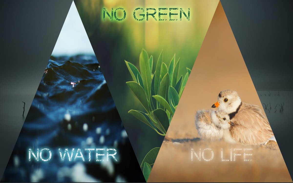 americanpws's tweet photo. #savewater #SaveLife https://t.co/bbfnbsDbg4