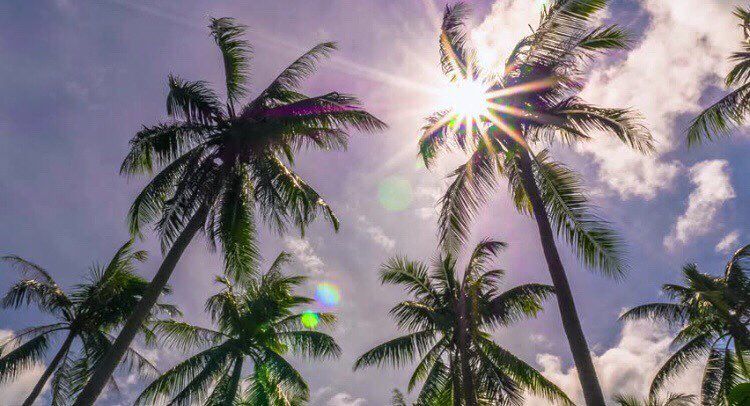 MiamiBeachPages's tweet photo. Something great is about to happen 💕 MIAMI BEACH

📷 jasminkarma #MiamiBeach https://t.co/Pu5GOvbINe