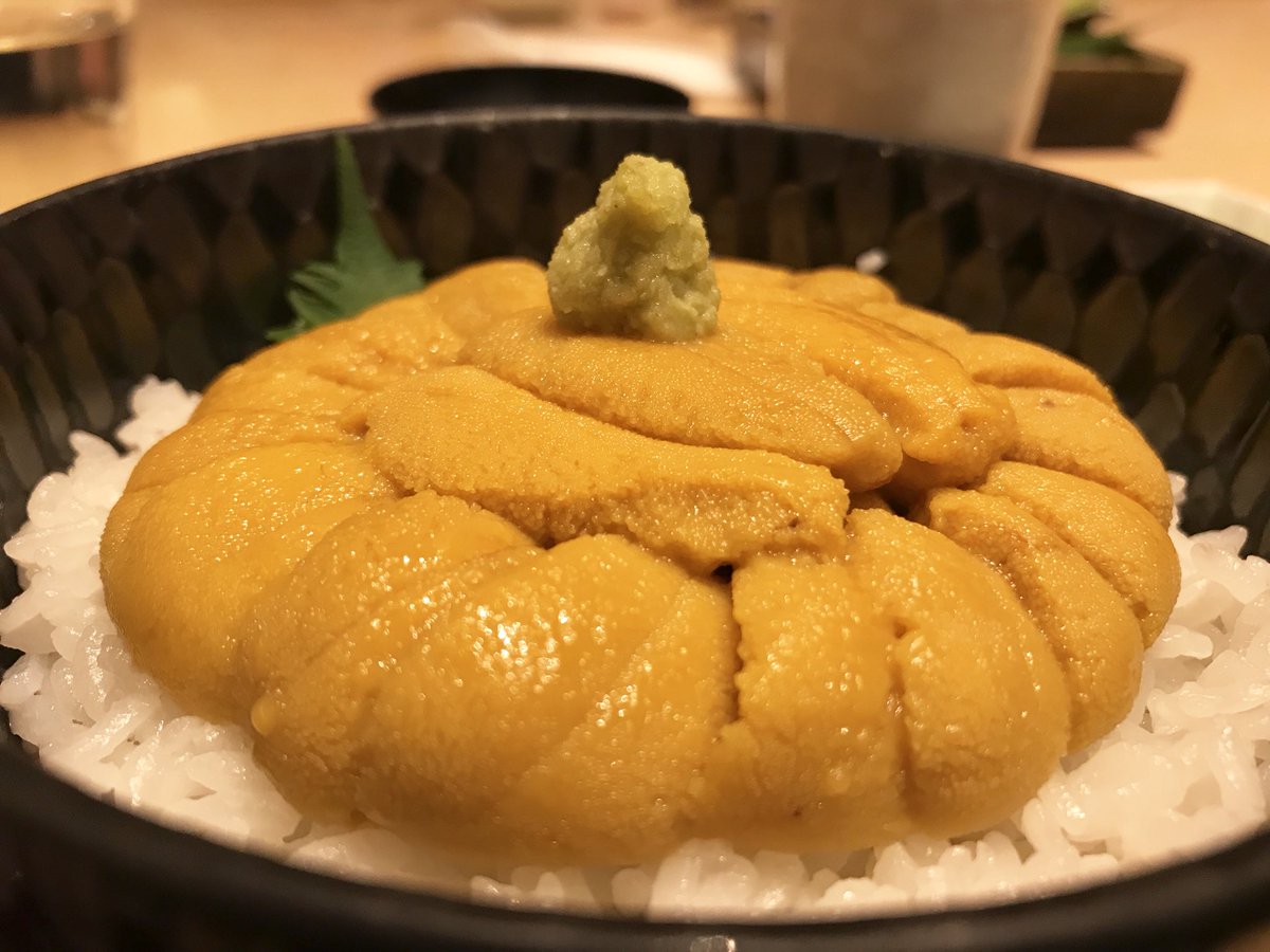 Uzivatel 城崎温泉みなとや若旦那 Na Twitteru 北海道最初の食事は うに専門店 函館うに むらかみ 札幌店 にて 雲丹 うに ウニ 函館うに むらかみ T Co Mnyivppahi 札幌 函館うにむらかみ 生うに丼 雲丹 うに ウニ 幸せ うに専門店 旅行