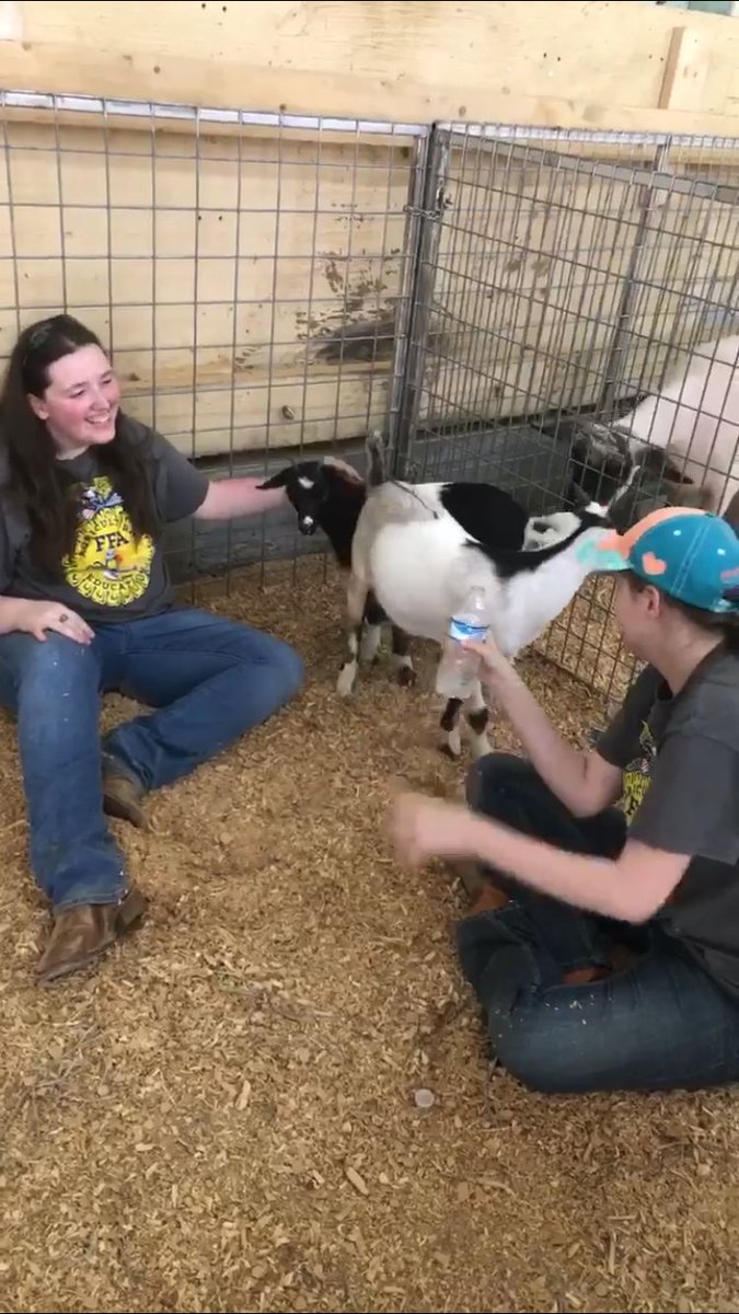 ffanvaveep's tweet photo. Farm day 2018 ✅ #eastisbeast https://t.co/fRjnUxSOYG
