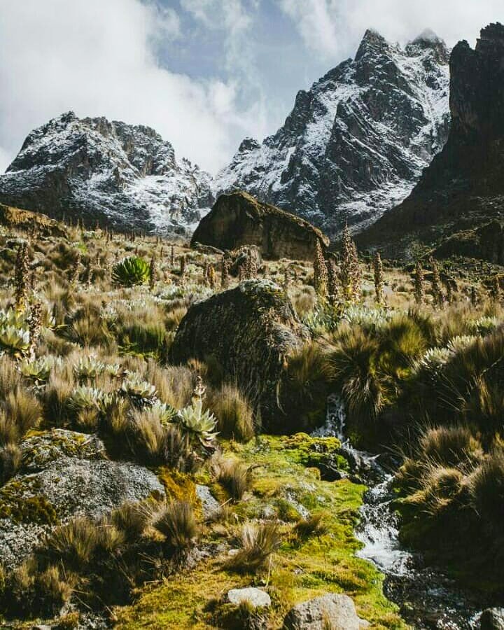 mountkenyatrust's tweet photo. #DidYouKnow: #MtKenya is the 2nd highest in Africa (17,058 feet / 5,199 meters), after Kilimanjaro. The highest peaks of the mountain are #Batian, #Nelion * #PointLenana.

#mountain #hikingadventures #mountainclimbing #forpeaksake #scenic #whyilovekenya #tembeakenya #scenic #KOT https://t.co/4ej0wayIbP