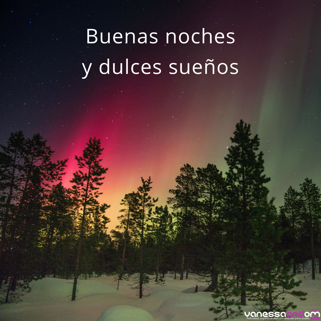 vanessaandom's tweet photo. Hoy antes de dormir cierra los ojos y repite varias veces "tengo el poder de construir mi realidad"
#vanessaandom #buenasnoches #noches #dulcessueños #sueños #afirmaciones #afirmacionespositivas #yopuedo #cocrear #construir #realidad https://t.co/m7wK2F00ZR