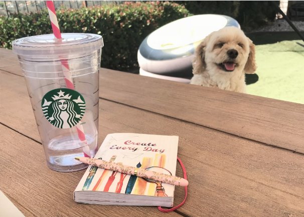 thefamilycoach's tweet photo. I went in determined to push myself out of my comfort zone, and I did. But the problem with leaving the comfort zone is that it’s uncomfortable there. Thank you @BreneBrown and @kwintsch for showing me how to handle my worst critic.   https://t.co/kQOPmYg23s  #mom2summit https://t.co/eV4a0W1RPy
