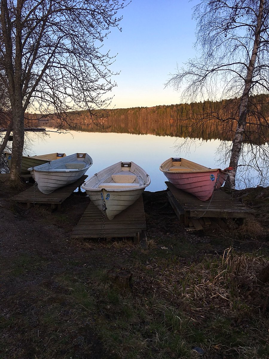 KekkonenMinna's tweet photo. Suomen luonto heräämässä kukoistukseensa #toukokuu #suomenluonto #kaukajärvi https://t.co/lCz49fF1vq