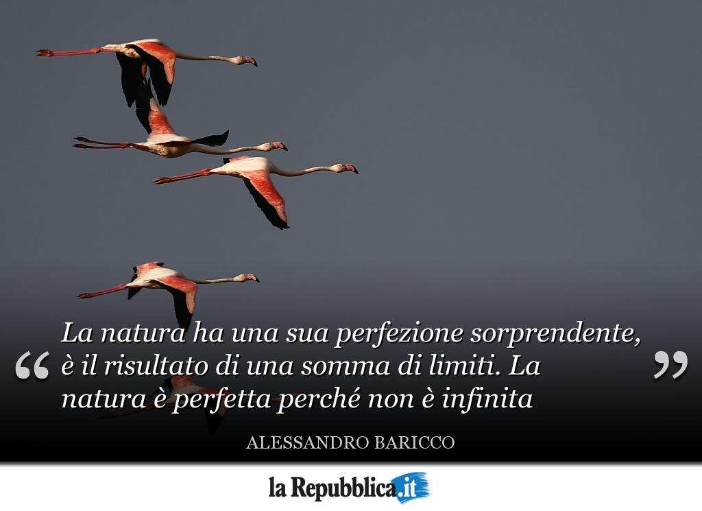 Buongiorno! Iniziamo la giornata con una riflessione: la natura non è infinita, ma l'uomo troppo spesso lo dimentica #9maggio