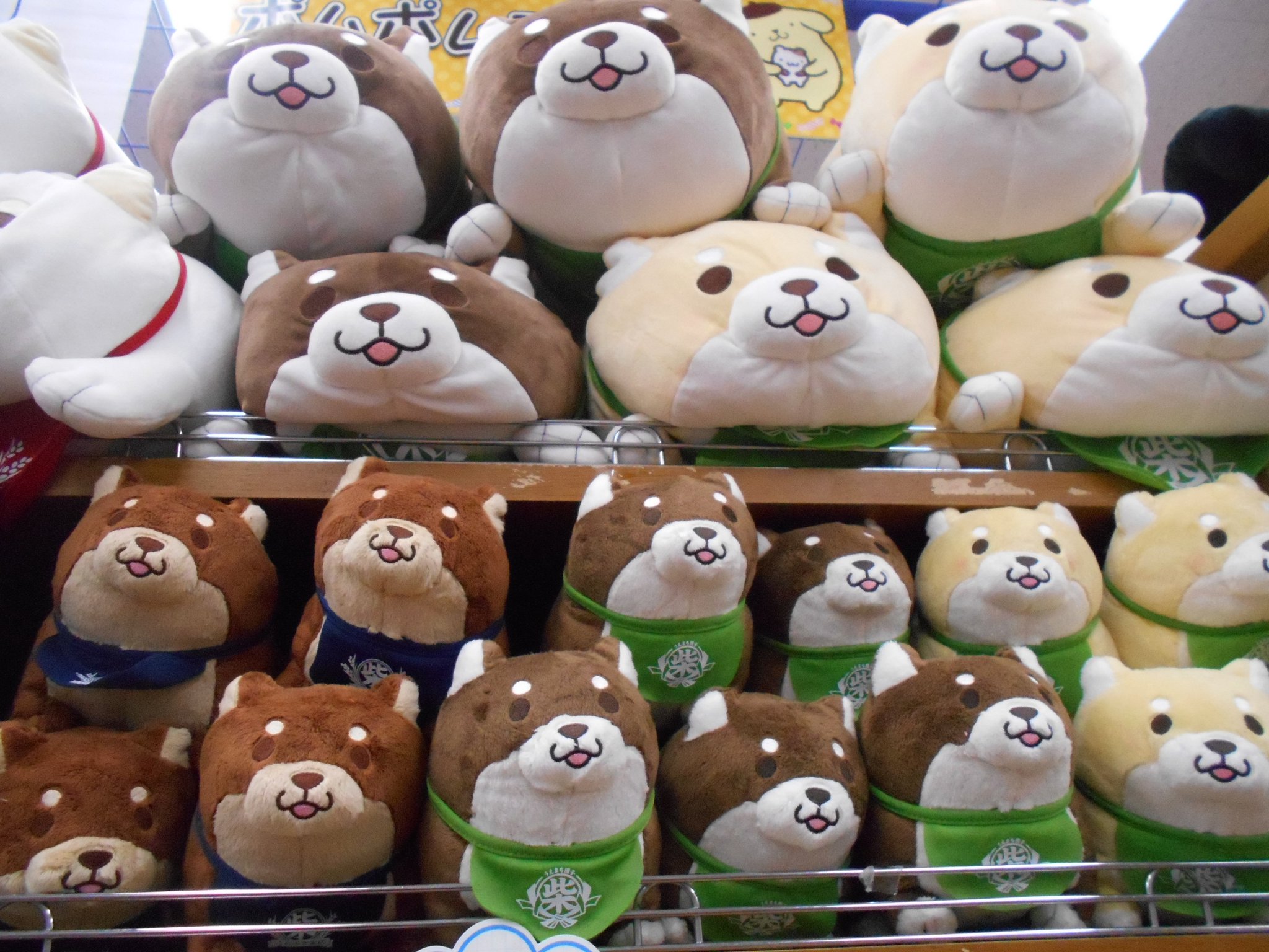 アニメイト池袋本店 キャラ販売情報 忠犬もちしば もちもちクッション おかか うめ ごま あんこ きなこ 各種 2800 税 と ぬいぐるみs おかか うめ ごま あんこ きなこ つな 各種 1400 税 が大好評発売中 みんな可愛いすぎるぅ 是非当店5