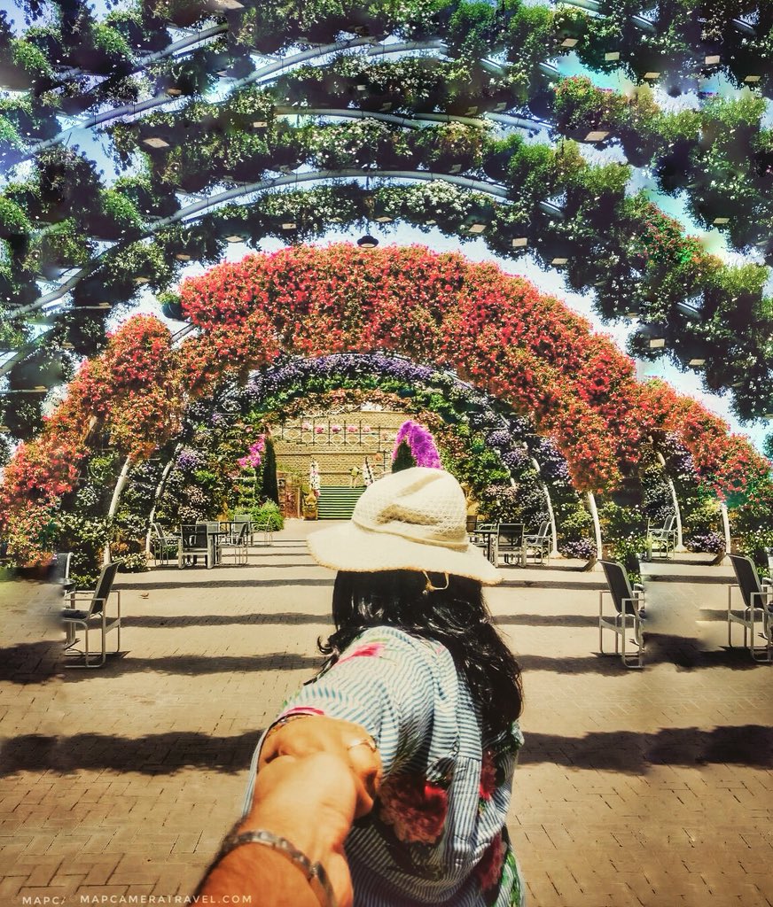 mapcameratravel's tweet photo. Wonderful Dubai Miracle Garden !
****************************************
#mapcameratravel #miraclegarden #miraclegardendubai #flowers #girlswhotravel #femaletravelbloggers #gtgi #womenlovetravel #sheisnotlost #welovetravel #mydubai #visitdubai https://t.co/ED8mw8wvvd