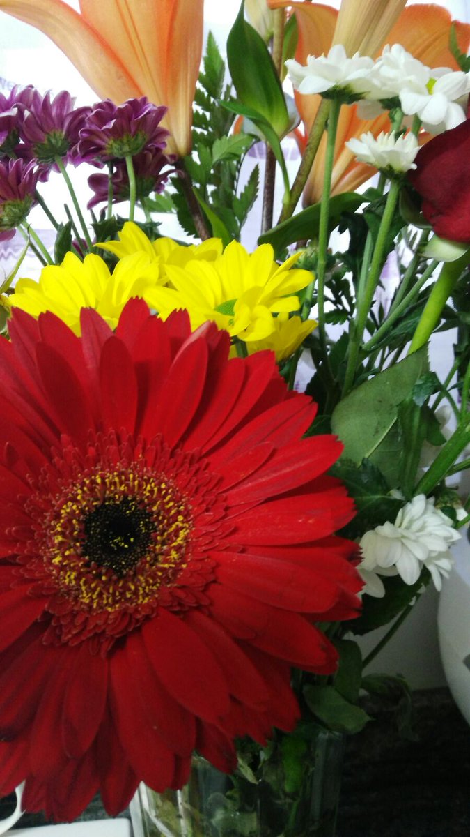 Perdona, soy artista 💚 tweet media