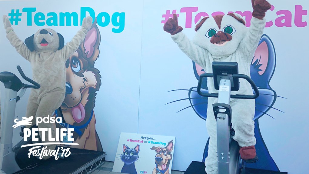 PDSA_HQ's tweet photo. Our epic bike challenge saw #TeamCat and #TeamDog go head to head in a race from #PetLife18 to #Manchester. The results are in... and #TeamCat got there first! A huge THANK YOU to everyone to took part in raising money for our #PDSAManchester Pet Wellbeing Centre. 🐱 https://t.co/zyFwRTbAG5