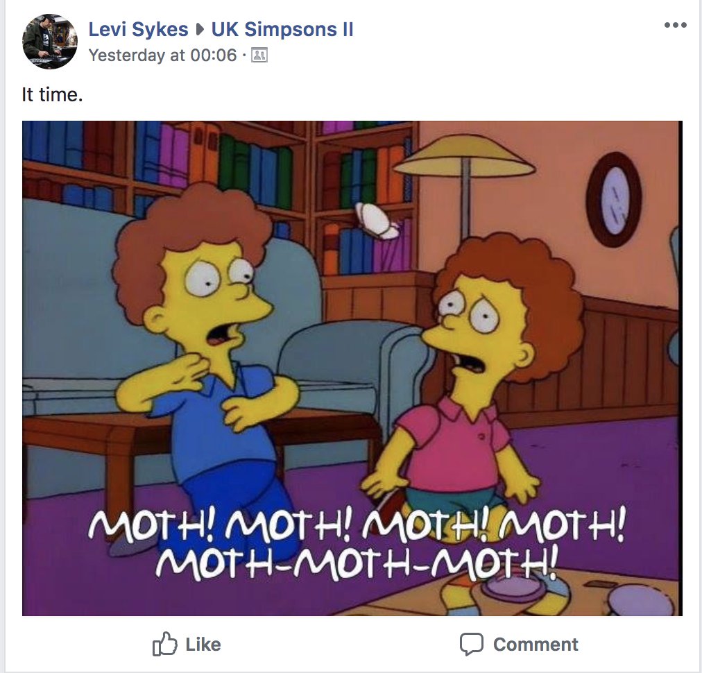 Summing up @SnaggleKitteh's world for the next 4 months between the hours of 8-10pm #moths #noopenwindows #lightsoff