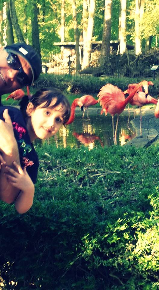 Raise your kids happily. 😂
#daughter #love #passion #gospelofJesus #power #truth #happiness #peace #soul #freedom #life #devotion #positivity #God #Deus #devotee #beauty
👪 😃💁  🐻🌻 🍔🎷⚽️ 🚘 🌇 💡🎉 💖