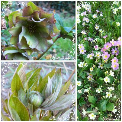 ENGAGEMENT N°3 DE NOS ADHÉRENTS : « Maîtrise de la ressource en eau » est l'un des #engagements auxquels souscrivent les passionnés de #nature qui vous accueillent au Jardin du Tomple. 
 cevennes-ecotourisme.com/P-PCU36a37ff59……
 #écotourisme, #écolabel, #écoséjour, #chambredhôte, #hébergement