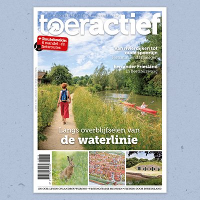 Toeractief tweet media