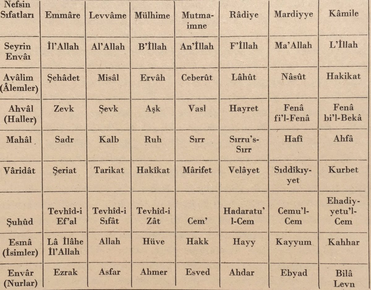 40 uchun ayol bilan jinsiy aloqa