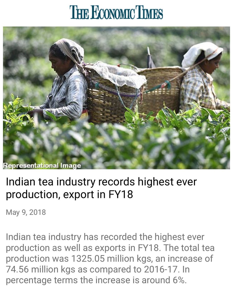 NMApp Indian tea industry records highest ever production, export in