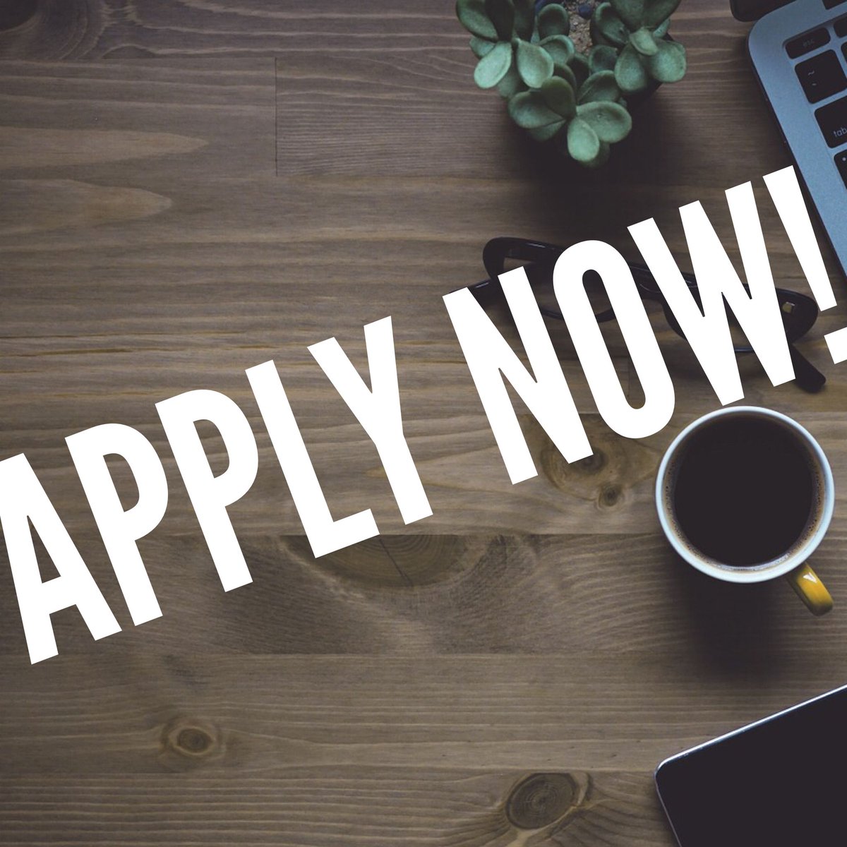 IntegrityFT's tweet photo. Apply for one of our digital apprenticeships now! Head over to Indeed or the National Apprenticeship Service website👉🏼👉🏼👉🏼👉🏼 https://t.co/4hD4g67Efh
